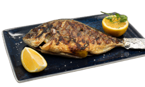 Ципура /Sea bream