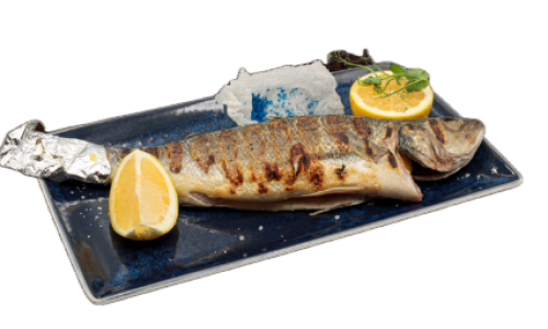 Средиземноморски Лаврак / Mediterranean sea bass